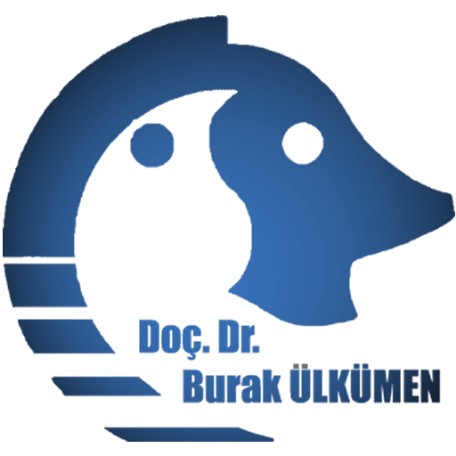 Doç. Dr. Burak ÜLKÜMEN